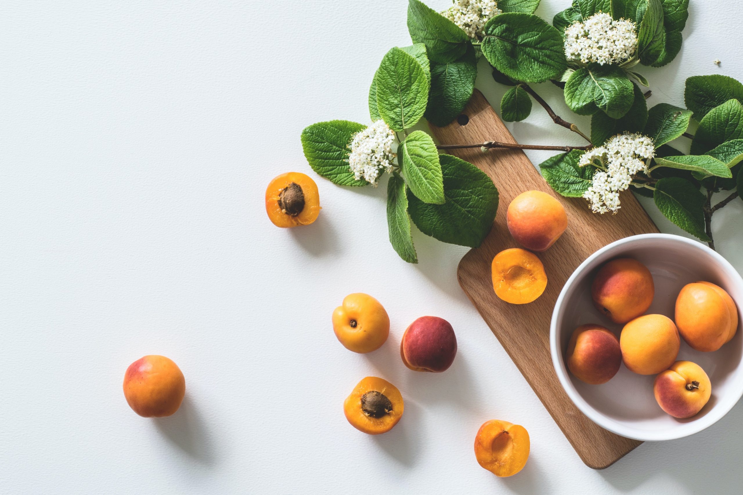 Autoimmune disease and gut health