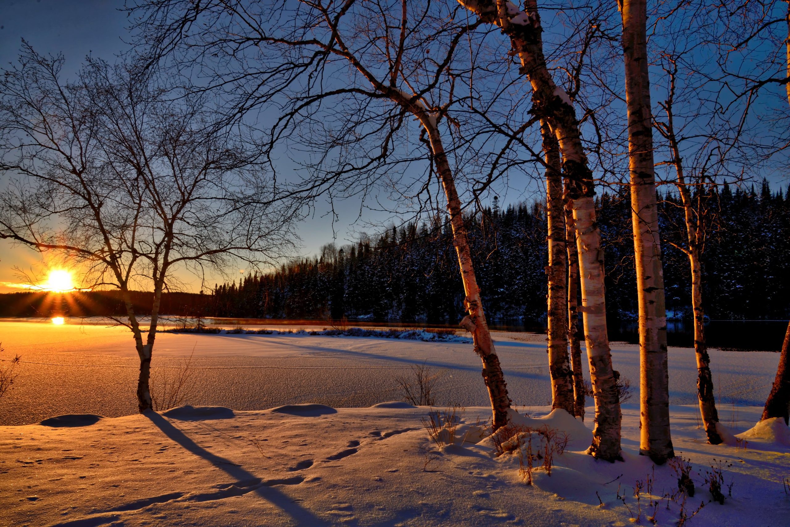 Why You Should Take Vitamin D This Winter Why You Should Take Vitamin D This Winter