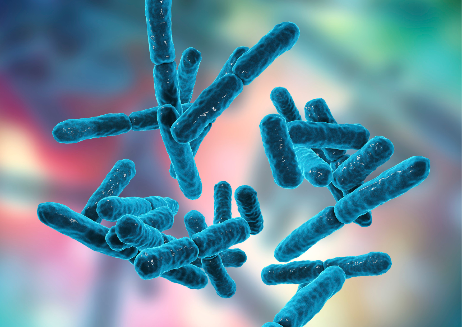 Can Probiotics Help My Eczema Symptoms